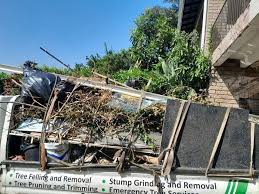 Shed Removal in Governors Village, NC